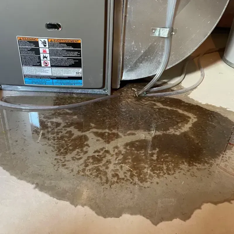 Appliance Leak Cleanup in Robbinsville, NC